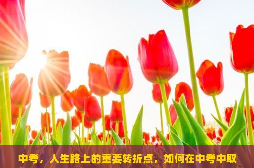 中考，人生路上的重要转折点，如何在中考中取得好成绩？