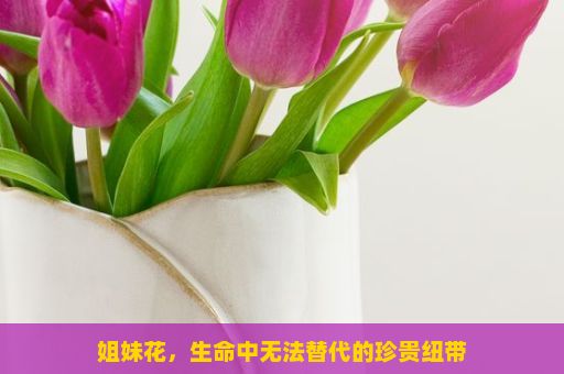 姐妹花，生命中无法替代的珍贵纽带