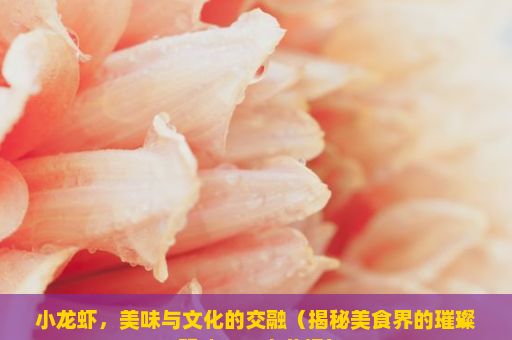 小龙虾，美味与文化的交融（揭秘美食界的璀璨明珠——小龙虾）