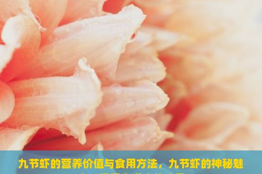 九节虾的营养价值与食用方法，九节虾的神秘魅力，探索海洋中的珍品