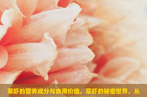 草虾的营养成分与食用价值，草虾的秘密世界，从养殖到餐桌的探索之旅