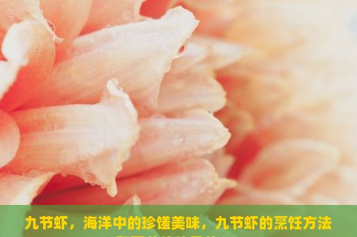 九节虾，海洋中的珍馐美味，九节虾的烹饪方法和营养价值是什么？