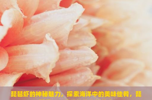 琵琶虾的神秘魅力，探索海洋中的美味佳肴，琵琶虾，一道独特的海鲜美食