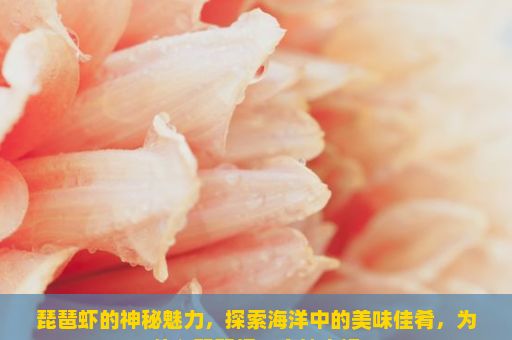 琵琶虾的神秘魅力，探索海洋中的美味佳肴，为什么琵琶虾、麻辣火锅