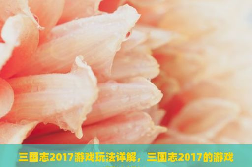 三国志2017游戏玩法详解，三国志2017的游戏玩法解析