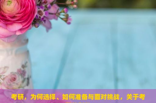 考研，为何选择、如何准备与面对挑战，关于考研的利弊