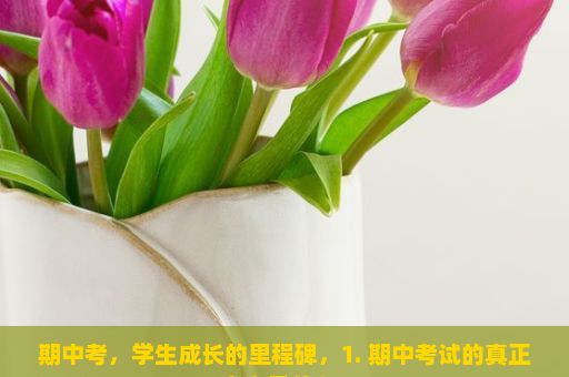 期中考，学生成长的里程碑，1. 期中考试的真正意义是什么？