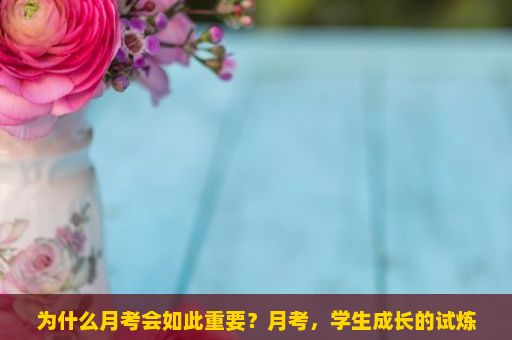 为什么月考会如此重要？月考，学生成长的试炼与挑战