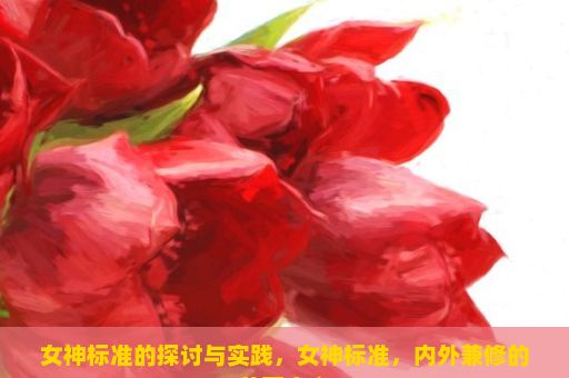 女神标准的探讨与实践，女神标准，内外兼修的美丽定义