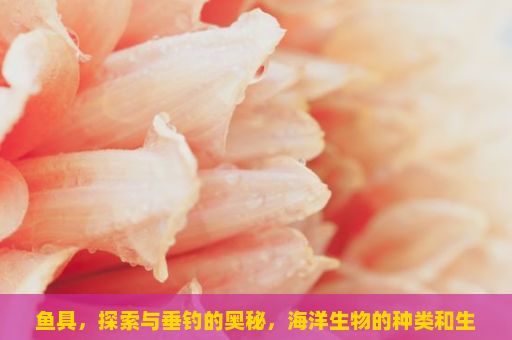 鱼具，探索与垂钓的奥秘，海洋生物的种类和生活习性？鱼具的重要性与作用？