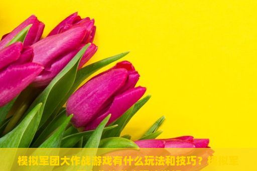 模拟军团大作战游戏有什么玩法和技巧？模拟军团大作战游戏玩法详解