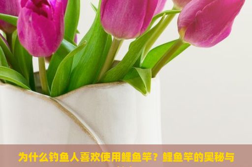 为什么钓鱼人喜欢使用鲤鱼竿？鲤鱼竿的奥秘与魅力