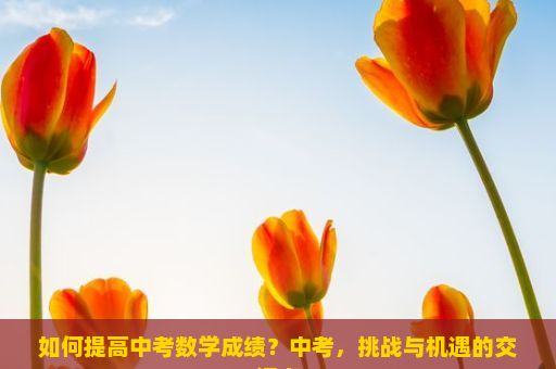 如何提高中考数学成绩？中考，挑战与机遇的交汇点