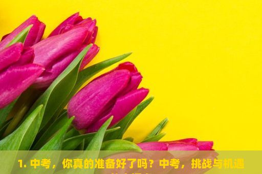 1. 中考，你真的准备好了吗？中考，挑战与机遇的交汇点