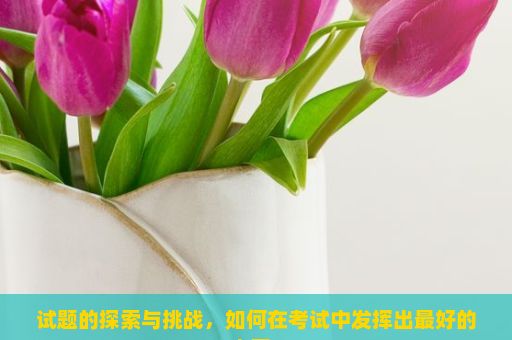 试题的探索与挑战，如何在考试中发挥出最好的水平？