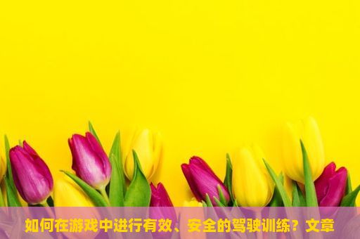 如何在游戏中进行有效、安全的驾驶训练？文章正文，开车驾驶训练游戏玩法详解