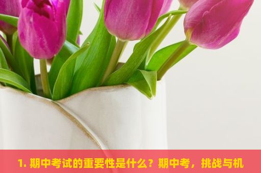 1. 期中考试的重要性是什么？期中考，挑战与机遇的交织