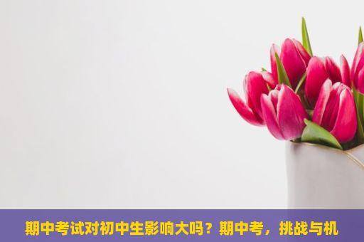 期中考试对初中生影响大吗？期中考，挑战与机遇的交织