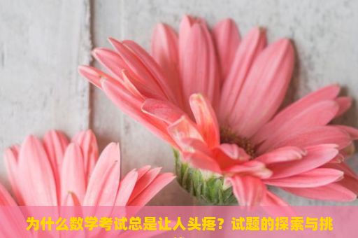 为什么数学考试总是让人头疼？试题的探索与挑战