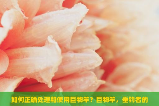 如何正确处理和使用巨物竿？巨物竿，垂钓者的新宠