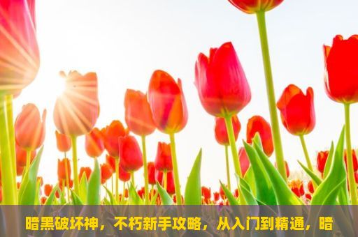 暗黑破坏神，不朽新手攻略，从入门到精通，暗黑破坏神，不朽游戏攻略，如何玩转这款经典之作？