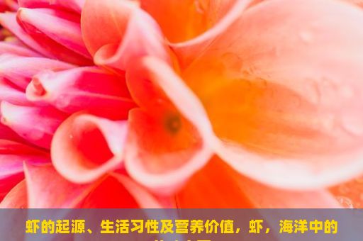 虾的起源、生活习性及营养价值，虾，海洋中的美味宝藏