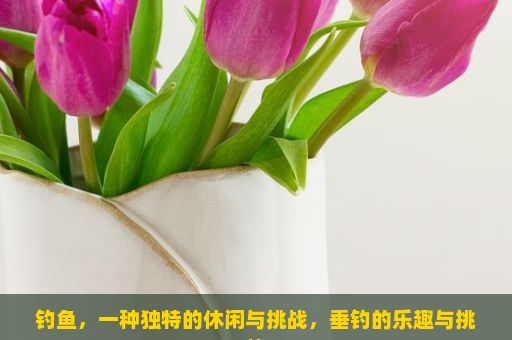 钓鱼，一种独特的休闲与挑战，垂钓的乐趣与挑战