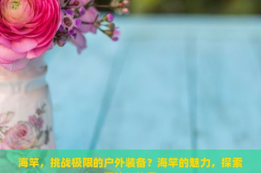 海竿，挑战极限的户外装备？海竿的魅力，探索垂钓新境界