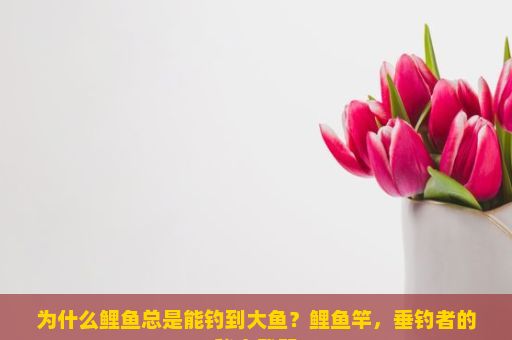 为什么鲤鱼总是能钓到大鱼？鲤鱼竿，垂钓者的秘密武器