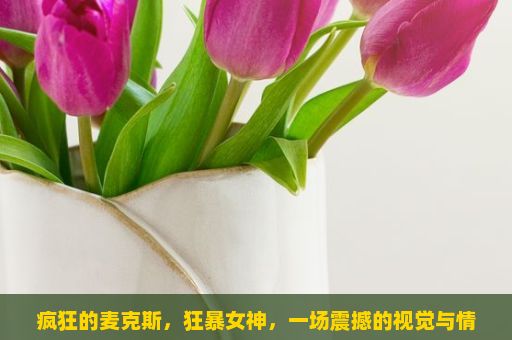 疯狂的麦克斯，狂暴女神，一场震撼的视觉与情感之旅（疯狂的麦克斯，狂暴女神电影深度解析）