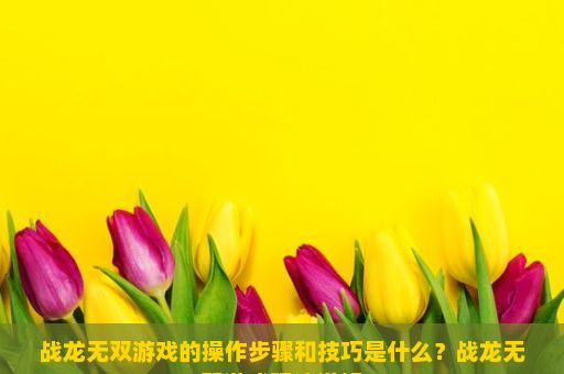 战龙无双游戏的操作步骤和技巧是什么？战龙无双游戏玩法详解