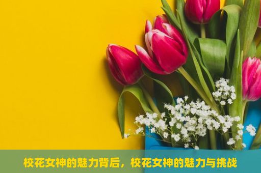 校花女神的魅力背后，校花女神的魅力与挑战