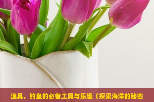 渔具，钓鱼的必备工具与乐趣（探索海洋的秘密，渔具的演变与重要性）