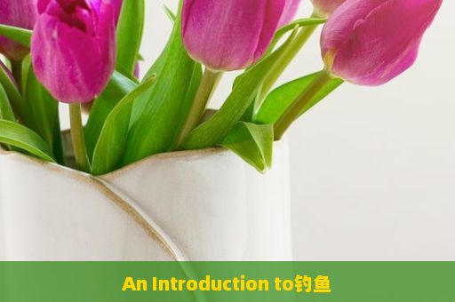 An Introduction to钓鱼