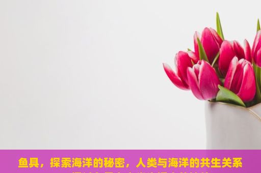 鱼具，探索海洋的秘密，人类与海洋的共生关系——探讨鱼具在人类生活中的地位